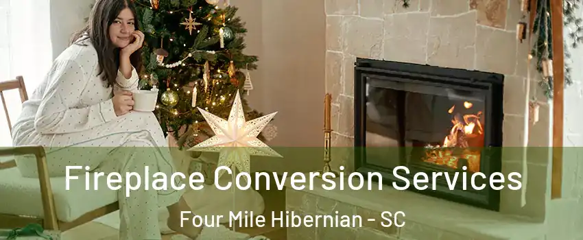 Fireplace Conversion Services Four Mile Hibernian - SC