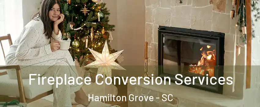 Fireplace Conversion Services Hamilton Grove - SC