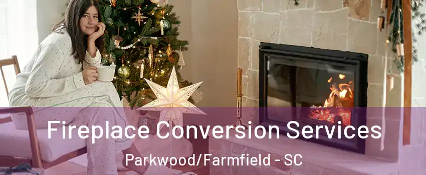 Fireplace Conversion Services Parkwood/Farmfield - SC