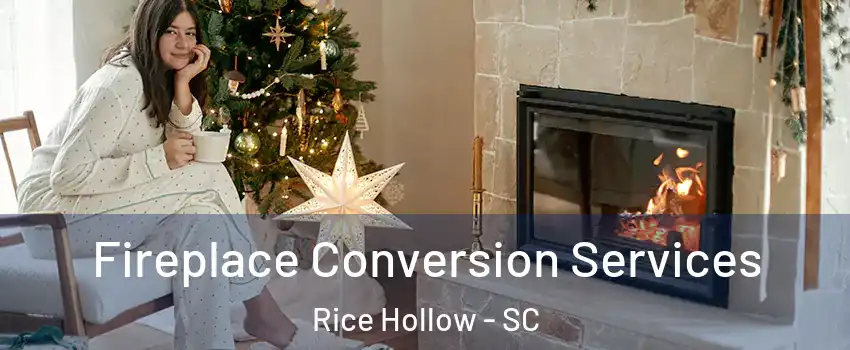 Fireplace Conversion Services Rice Hollow - SC