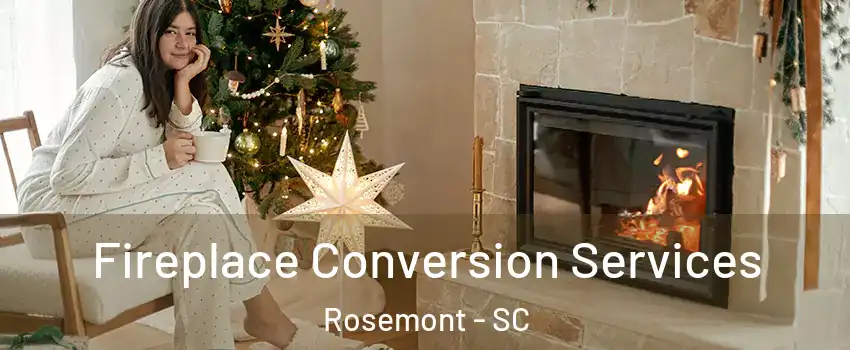 Fireplace Conversion Services Rosemont - SC