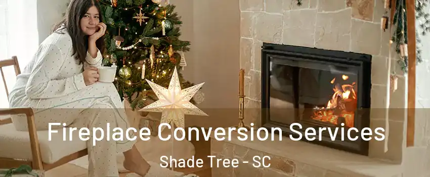 Fireplace Conversion Services Shade Tree - SC