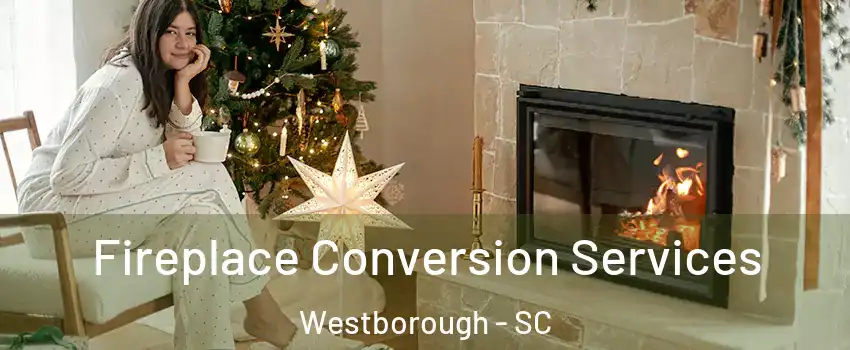 Fireplace Conversion Services Westborough - SC