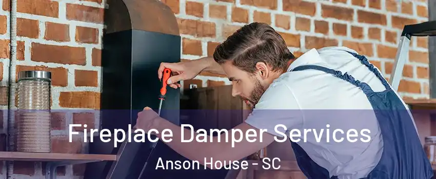 Fireplace Damper Services Anson House - SC