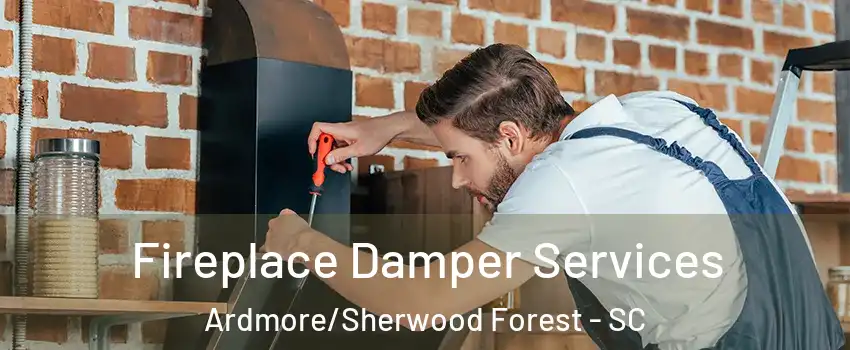 Fireplace Damper Services Ardmore/Sherwood Forest - SC