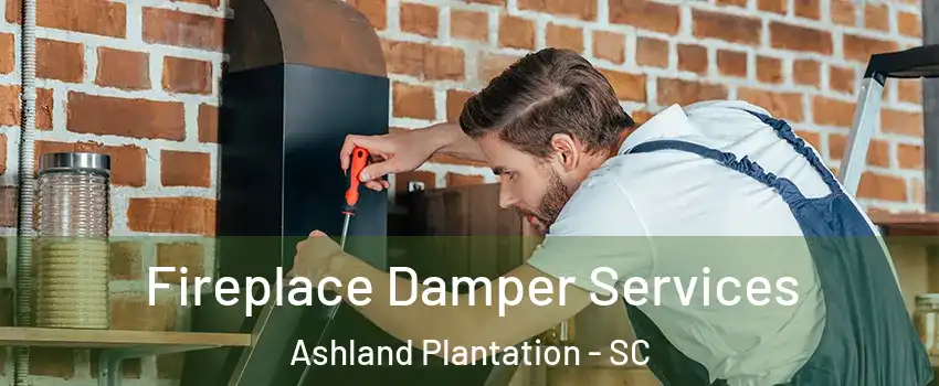 Fireplace Damper Services Ashland Plantation - SC