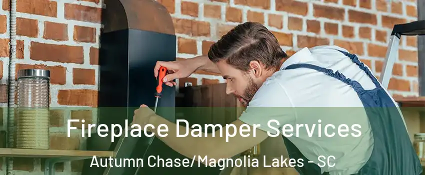 Fireplace Damper Services Autumn Chase/Magnolia Lakes - SC