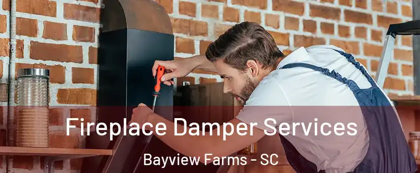 Fireplace Damper Services Bayview Farms - SC