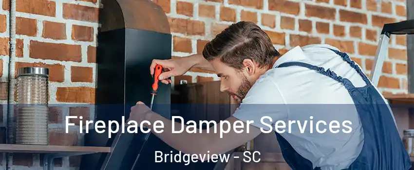 Fireplace Damper Services Bridgeview - SC