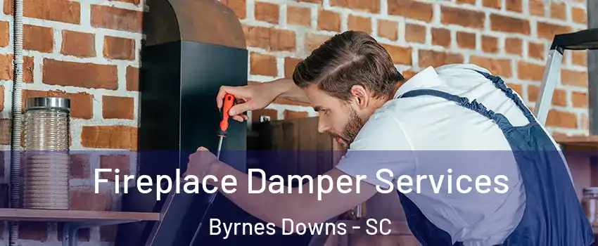 Fireplace Damper Services Byrnes Downs - SC