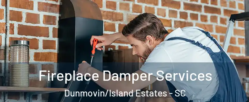 Fireplace Damper Services Dunmovin/Island Estates - SC