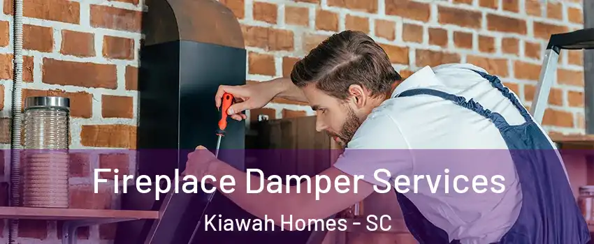 Fireplace Damper Services Kiawah Homes - SC