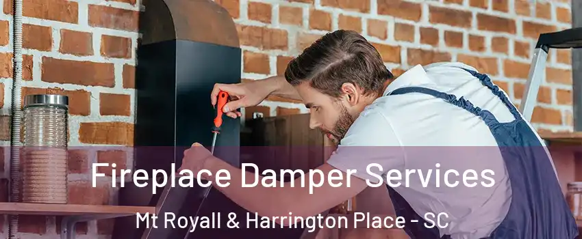 Fireplace Damper Services Mt Royall & Harrington Place - SC