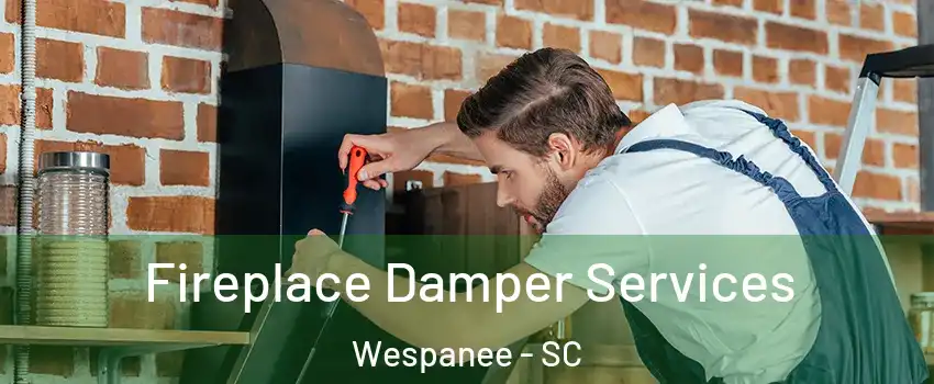 Fireplace Damper Services Wespanee - SC