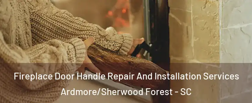 Fireplace Door Handle Repair And Installation Services Ardmore/Sherwood Forest - SC