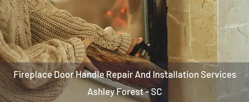 Fireplace Door Handle Repair And Installation Services Ashley Forest - SC