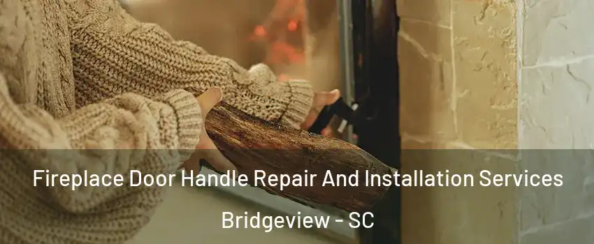 Fireplace Door Handle Repair And Installation Services Bridgeview - SC