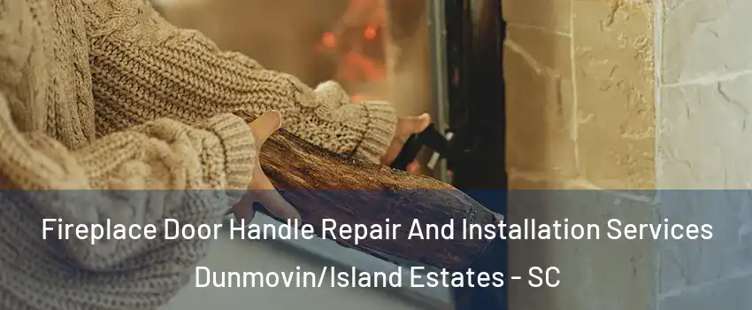 Fireplace Door Handle Repair And Installation Services Dunmovin/Island Estates - SC