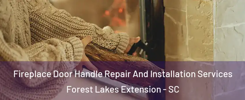 Fireplace Door Handle Repair And Installation Services Forest Lakes Extension - SC