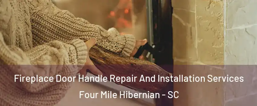 Fireplace Door Handle Repair And Installation Services Four Mile Hibernian - SC