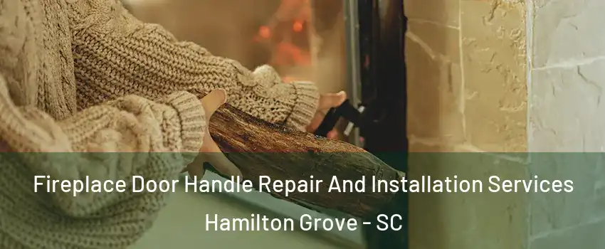 Fireplace Door Handle Repair And Installation Services Hamilton Grove - SC