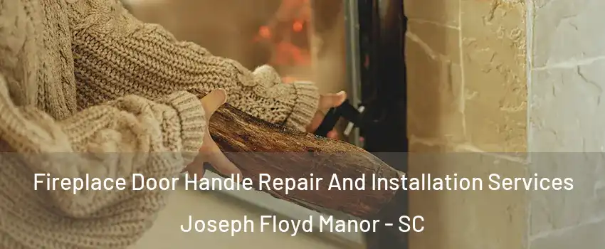 Fireplace Door Handle Repair And Installation Services Joseph Floyd Manor - SC