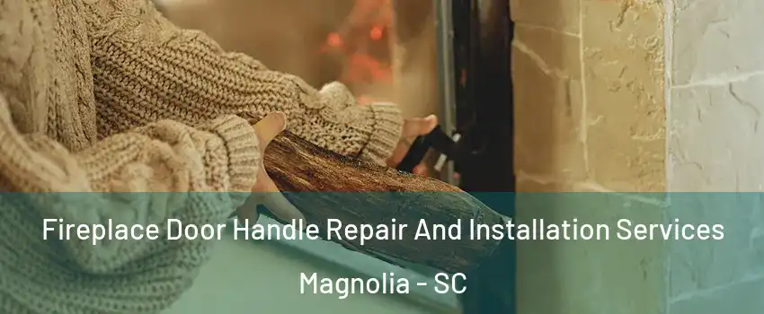 Fireplace Door Handle Repair And Installation Services Magnolia - SC