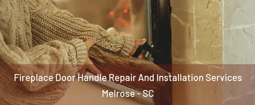 Fireplace Door Handle Repair And Installation Services Melrose - SC