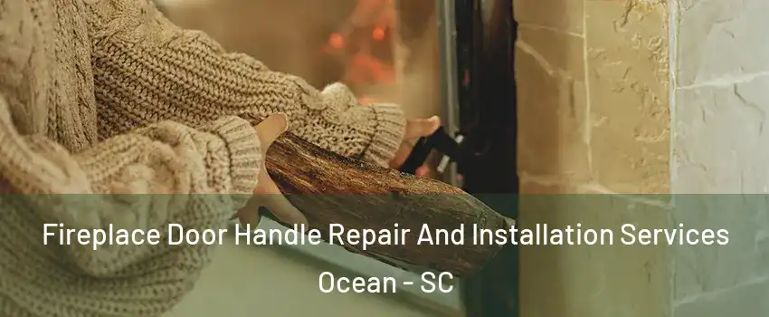 Fireplace Door Handle Repair And Installation Services Ocean - SC