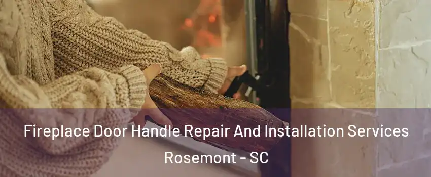 Fireplace Door Handle Repair And Installation Services Rosemont - SC