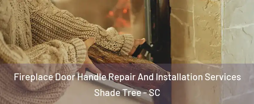 Fireplace Door Handle Repair And Installation Services Shade Tree - SC