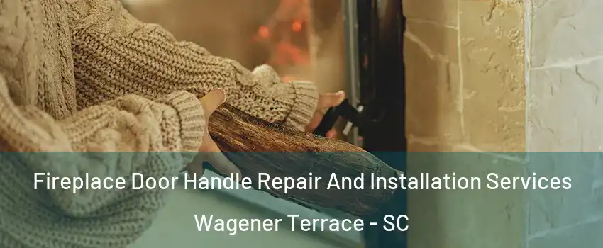 Fireplace Door Handle Repair And Installation Services Wagener Terrace - SC