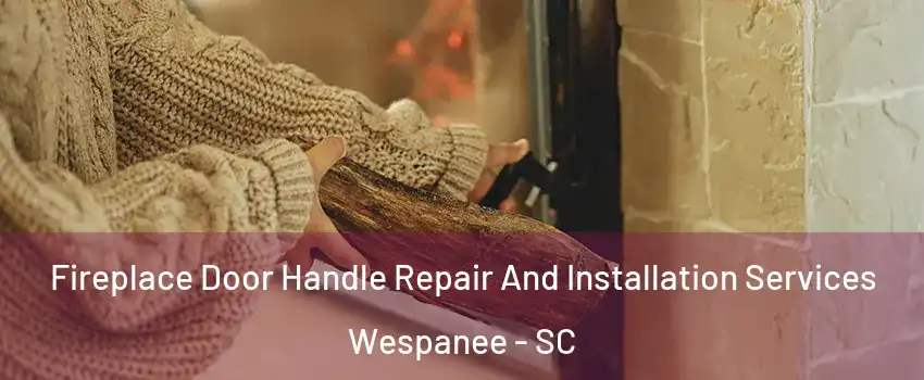 Fireplace Door Handle Repair And Installation Services Wespanee - SC