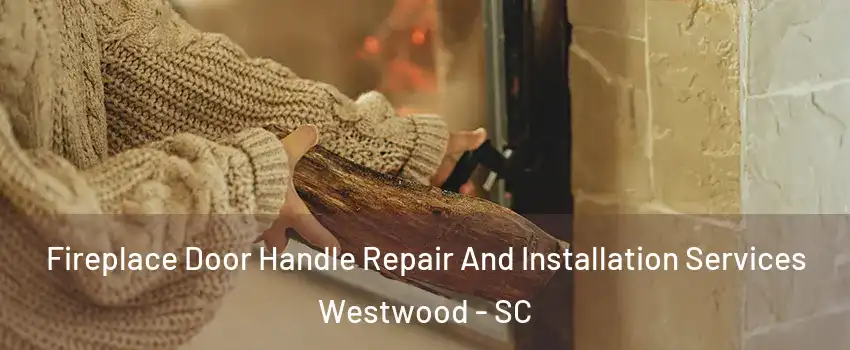 Fireplace Door Handle Repair And Installation Services Westwood - SC