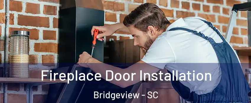 Fireplace Door Installation Bridgeview - SC