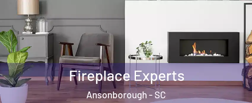 Fireplace Experts Ansonborough - SC