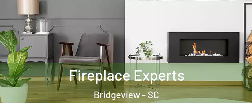 Fireplace Experts Bridgeview - SC