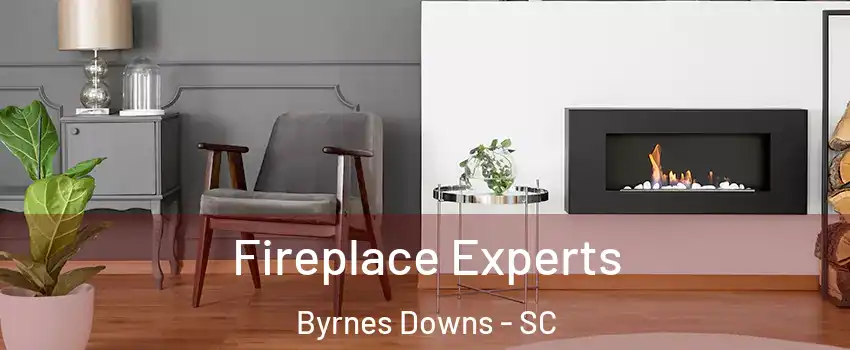 Fireplace Experts Byrnes Downs - SC