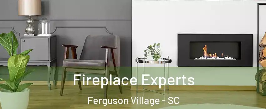 Fireplace Experts Ferguson Village - SC