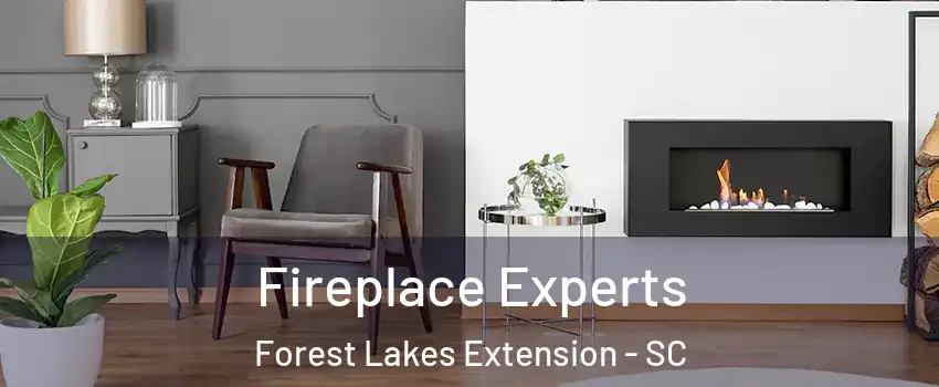 Fireplace Experts Forest Lakes Extension - SC