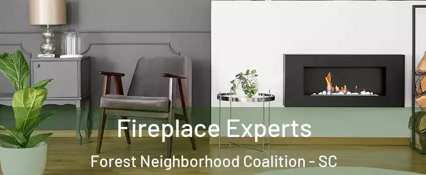 Fireplace Experts Forest Neighborhood Coalition - SC