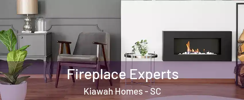 Fireplace Experts Kiawah Homes - SC