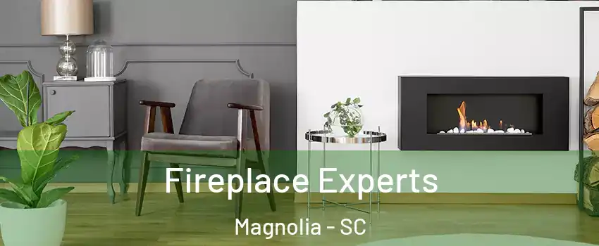 Fireplace Experts Magnolia - SC