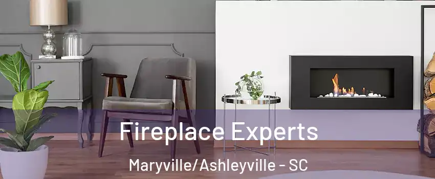 Fireplace Experts Maryville/Ashleyville - SC