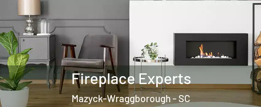 Fireplace Experts Mazyck-Wraggborough - SC