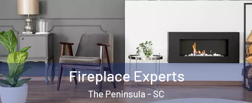 Fireplace Experts The Peninsula - SC