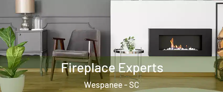 Fireplace Experts Wespanee - SC