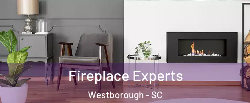 Fireplace Experts Westborough - SC