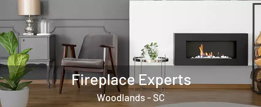 Fireplace Experts Woodlands - SC