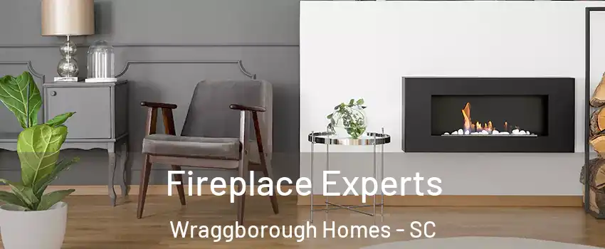 Fireplace Experts Wraggborough Homes - SC